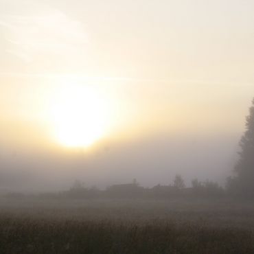 Метсямикли