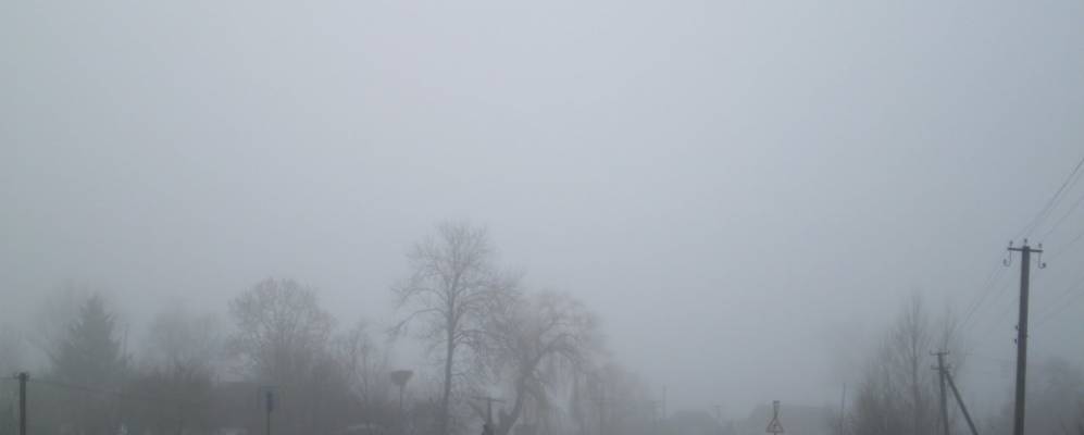 
            Фотография Кутища