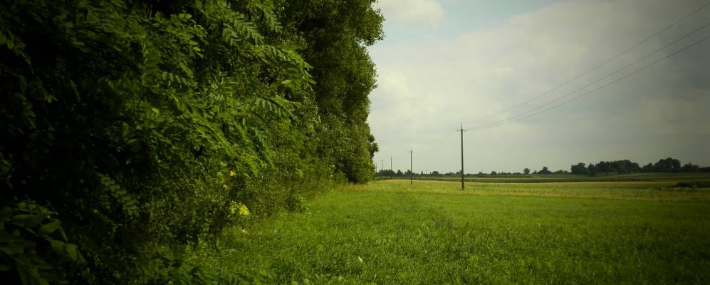 
            Фотография Малой Деревички