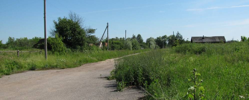 
            Фотография Торчино