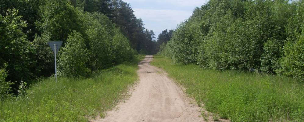 
            Фотография Воймаса