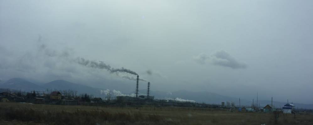 
            Фотография Тресково