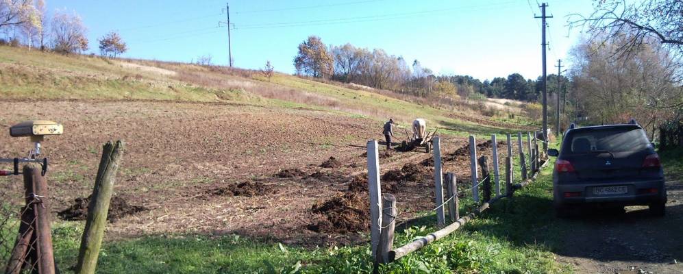 
            Фотография Подсадки