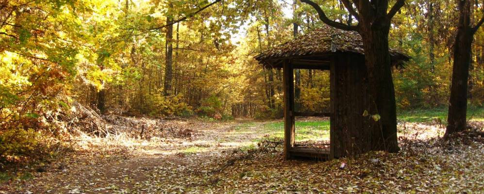 
            Фотография Врачка-Баньи