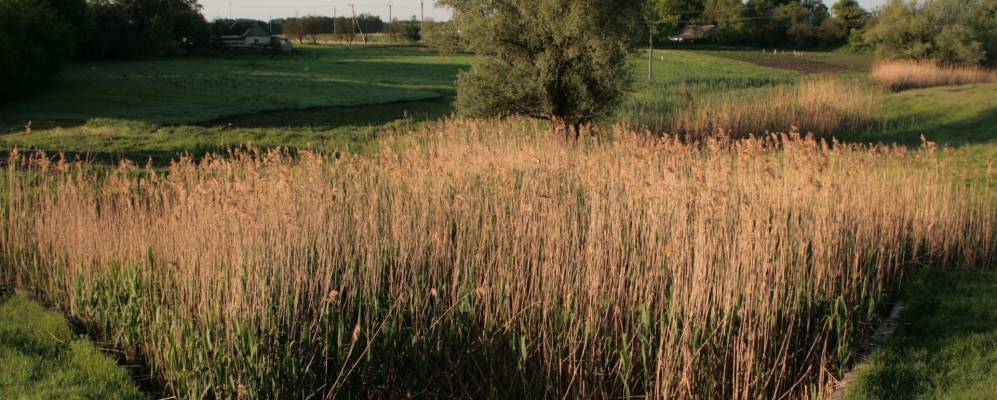 
            Фотография Соколовой Балка