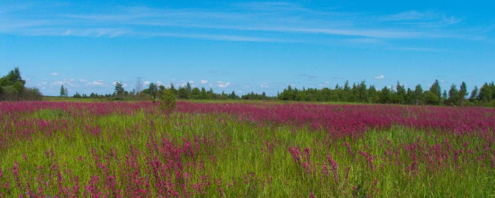 
            Фотография Ратного