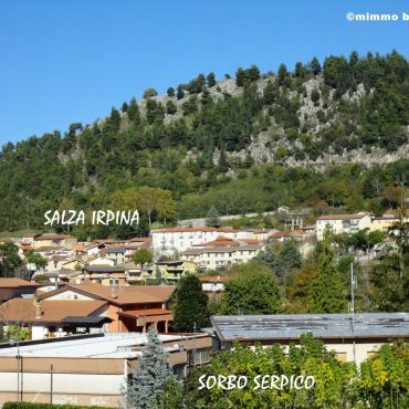 Сорбо-Серпико