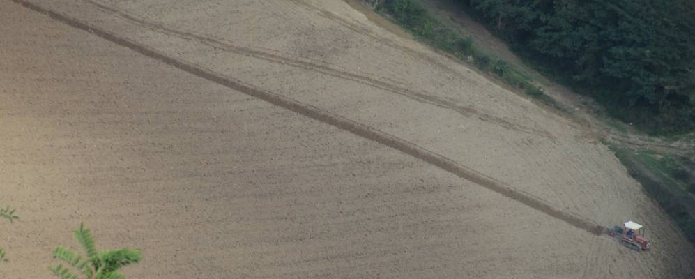 
            Фотография Петриано