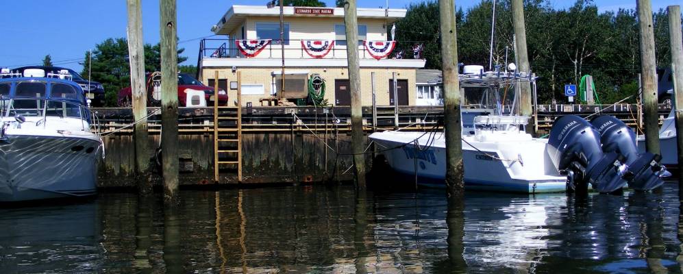 
            Фотография Леонардо