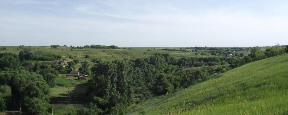 
            Фотография Нетсево