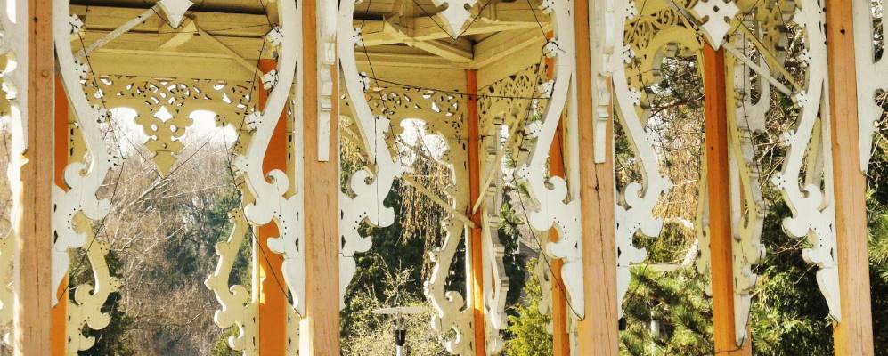 
            Фотография Зауэрбруна