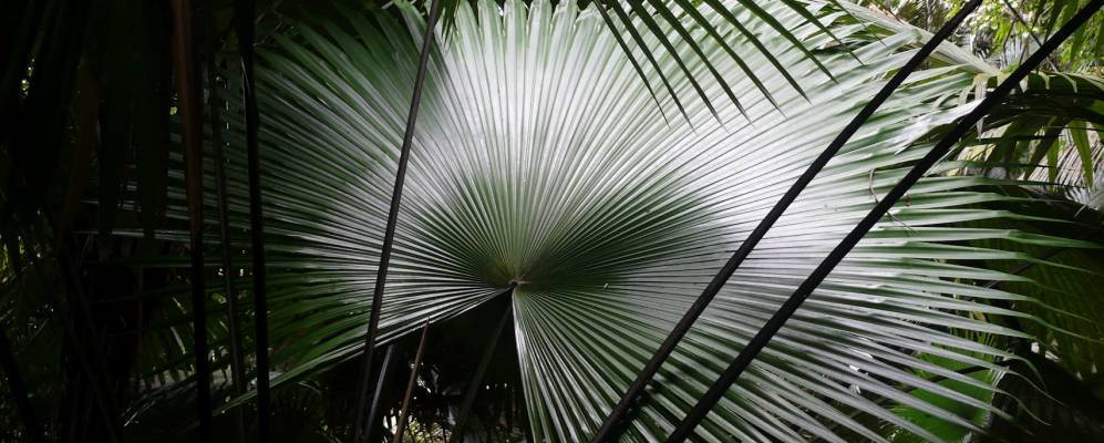 
            Фотография Таланг