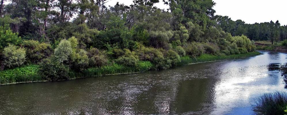 Фотография Линевого