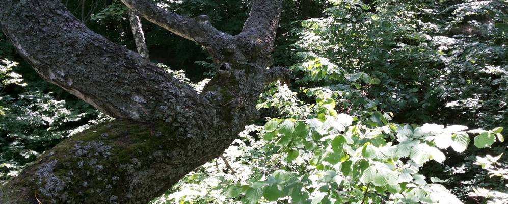 Фотография Колычево