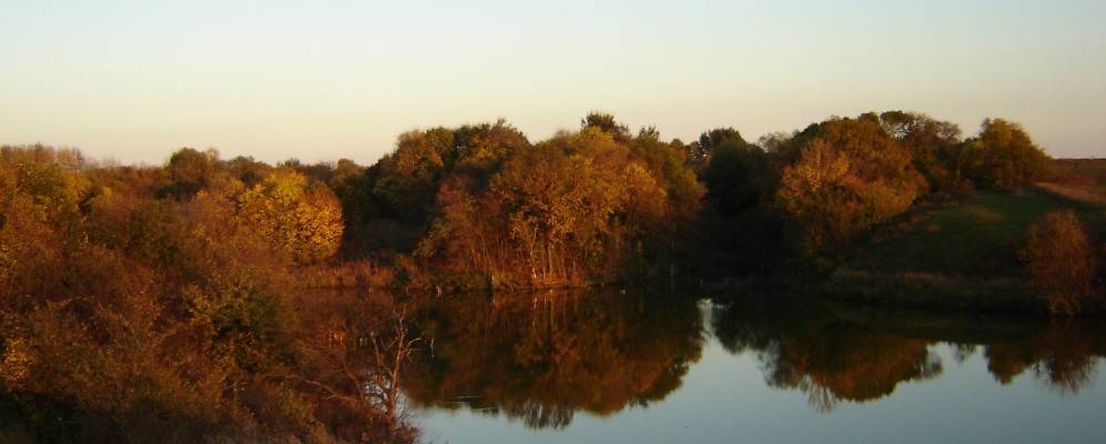 
            Фотография Яроватого