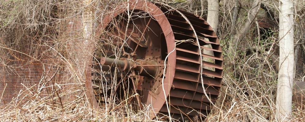 
            Фотография Блек Лика