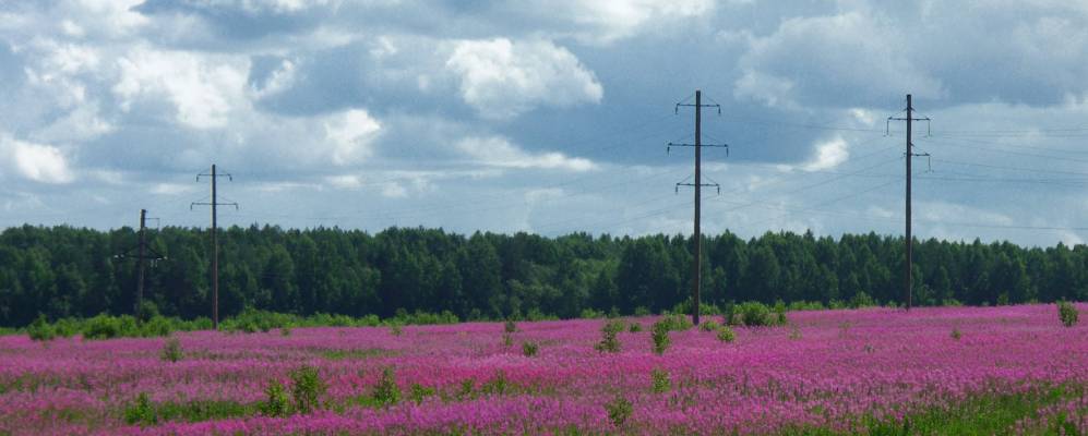
            Фотография Соколово