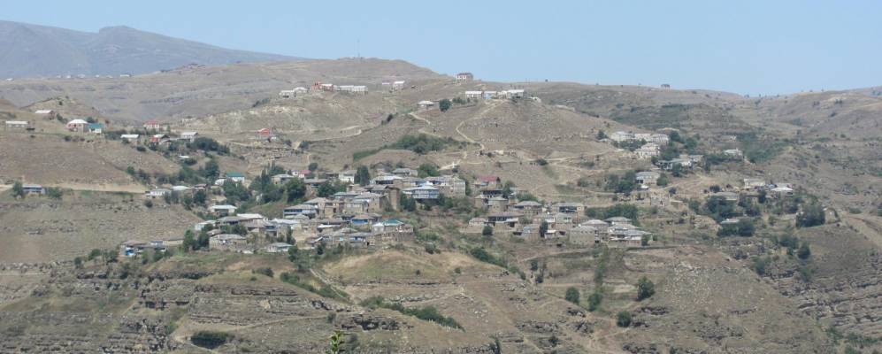 
            Фотография Дибгалика