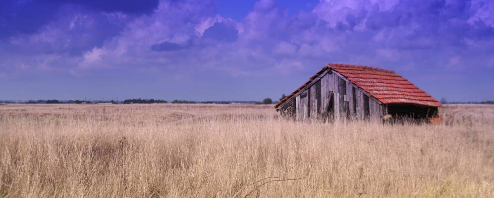 
            Фотография Буена