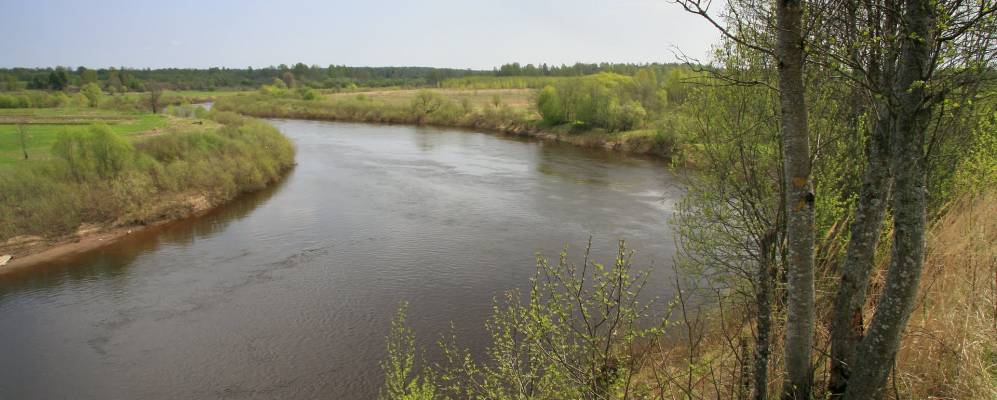 
            Фотография Росино