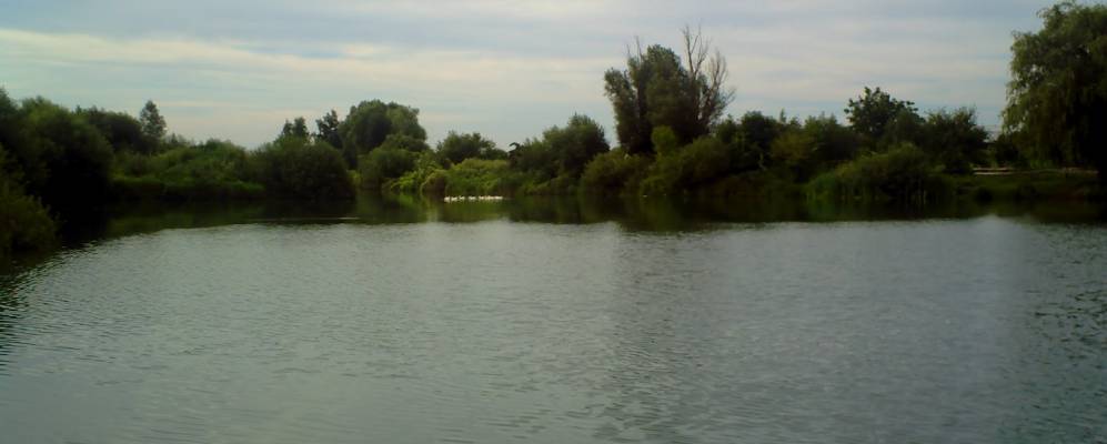 
            Фотография Ставища