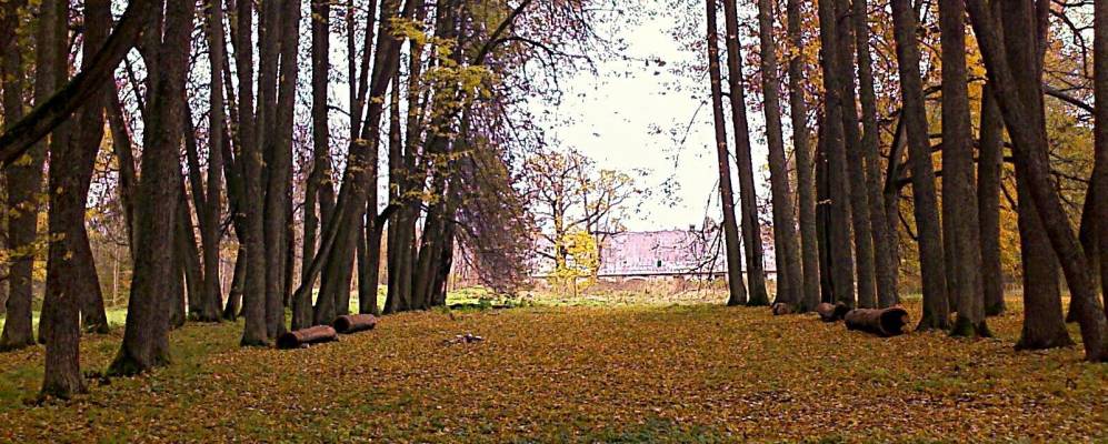 
            Фотография Берeзницы