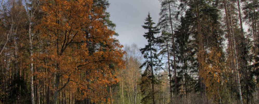 
            Фотография Быково