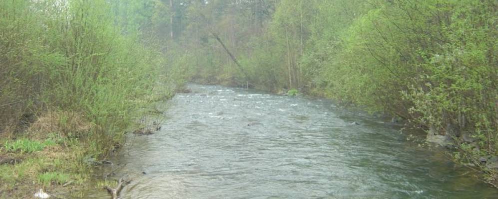 
            Фотография Церковного