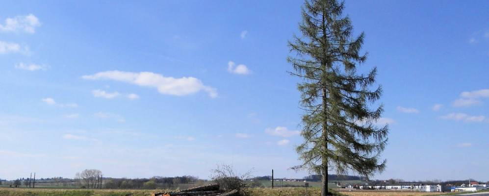 
            Фотография Пашинга