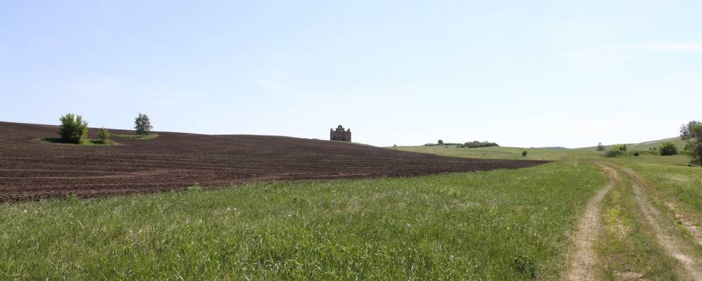 
            Фотография Шамаево