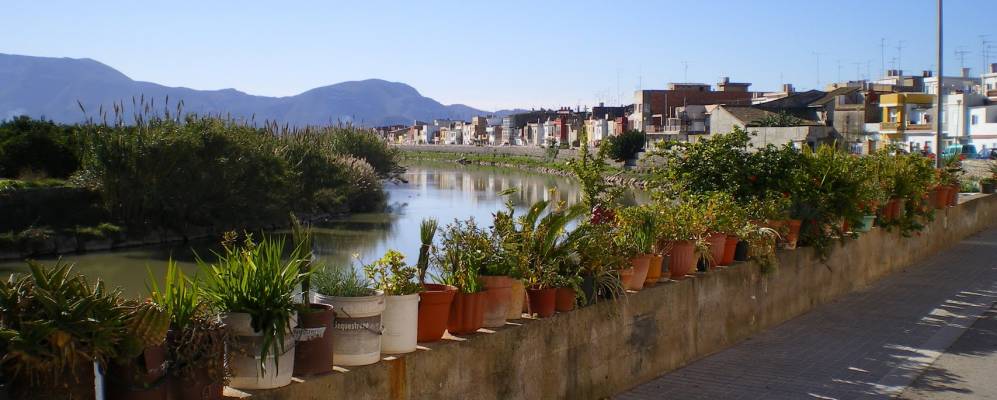 Фотография Риолы