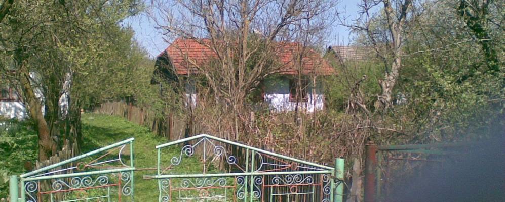 
            Фотография Паланики