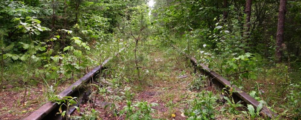 Фотография Хиноловки