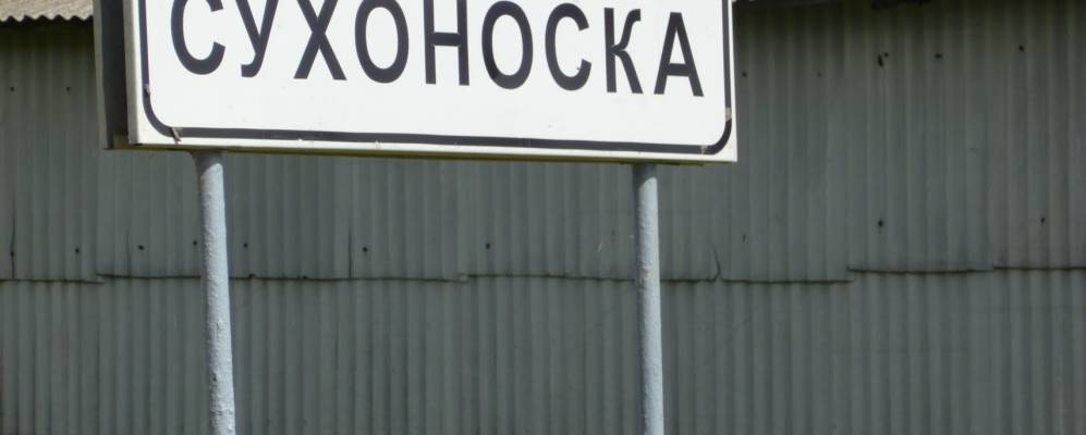 Фотография Хмелеватки