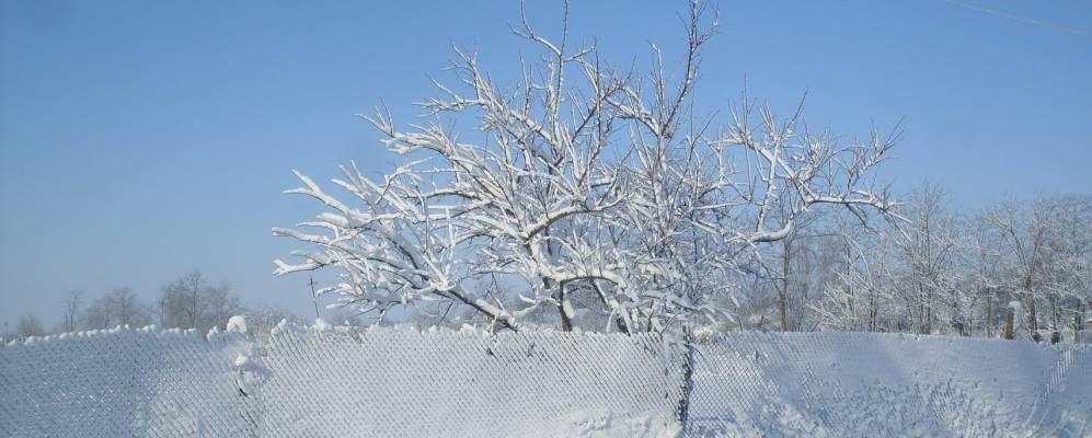 
            Фотография Долиновки