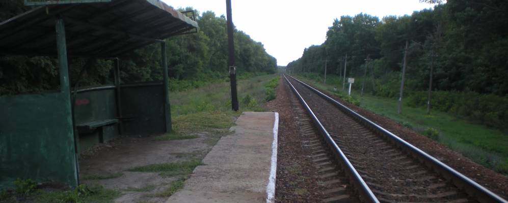 
            Фотография Андреевки