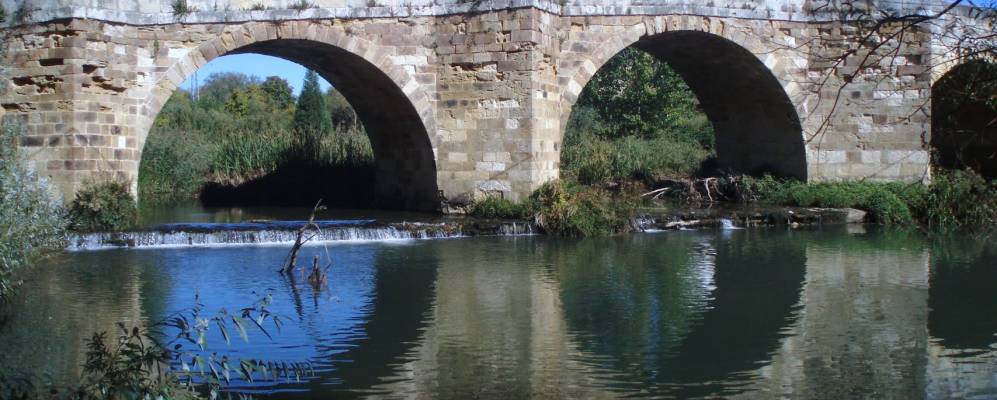 
            Фотография Sahagún