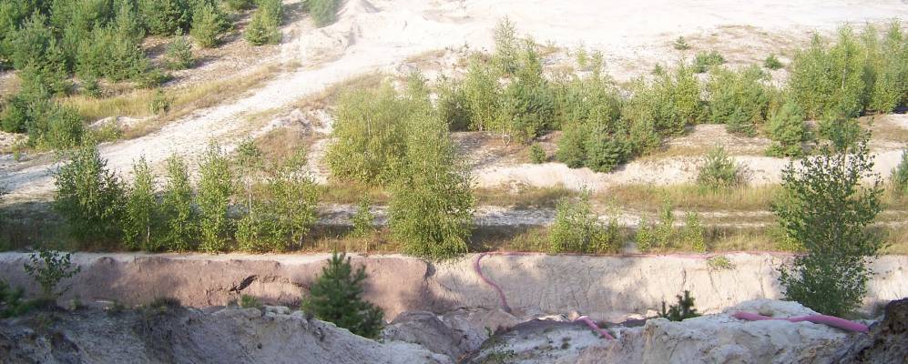 
            Фотография Криница