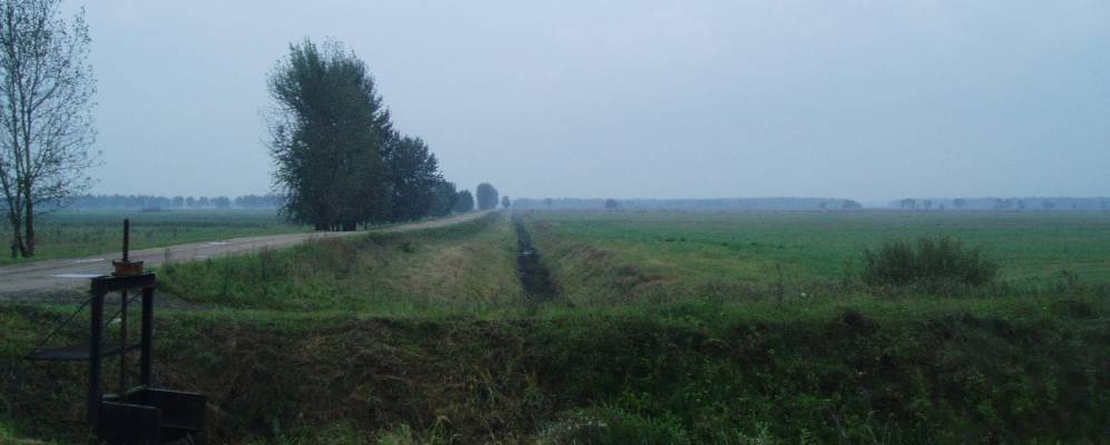 
            Фотография Доброго