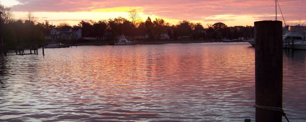 
            Фотография Мейо