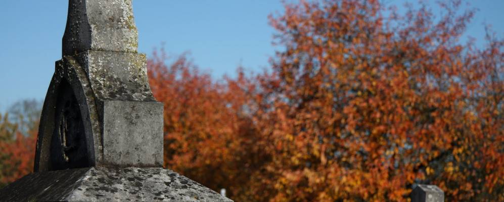 
            Фотография Деминьи