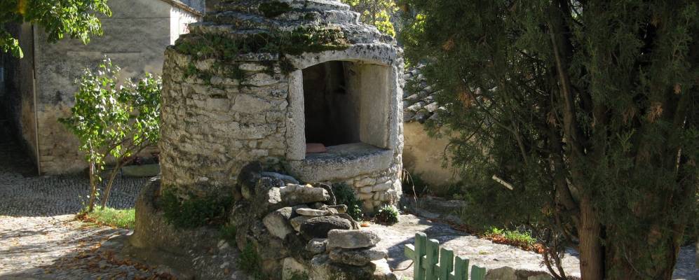 
            Фотография Сиверг