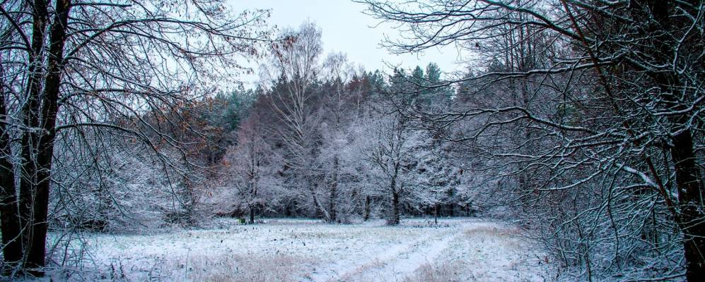 
            Фотография Верхних Яков
