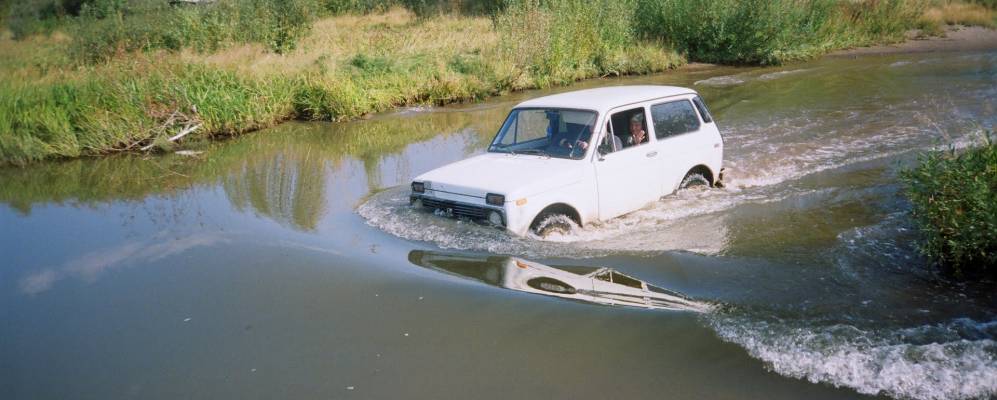 
            Фотография Медвежки