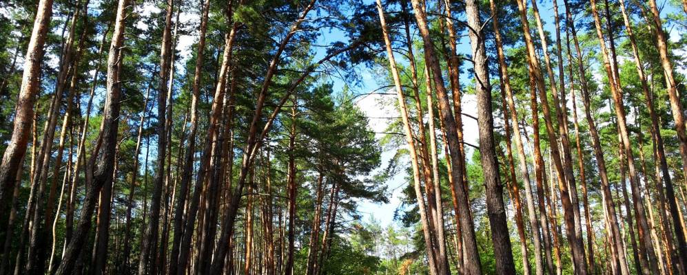 
            Фотография Знаменовки