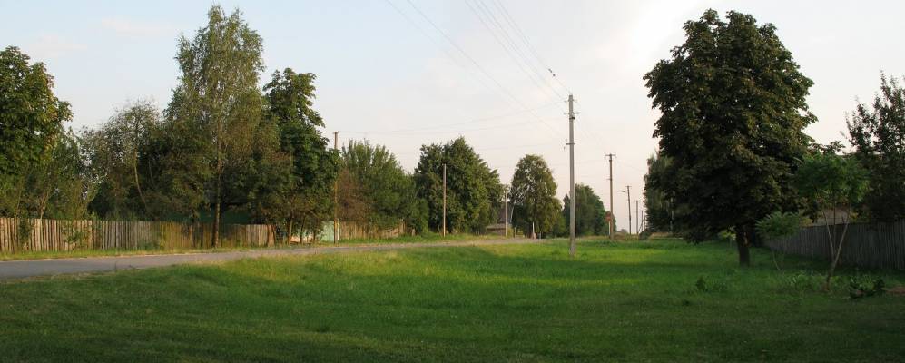 Фотография Пасеки