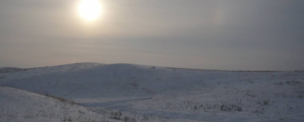 
            Фотография Никольского