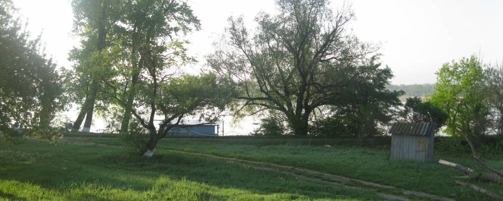 
            Фотография Бекана