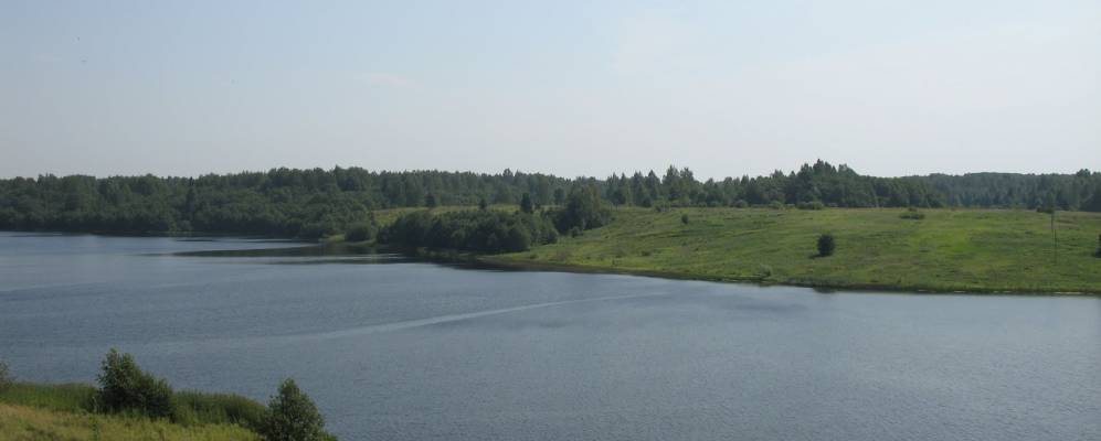 
            Фотография Маковья