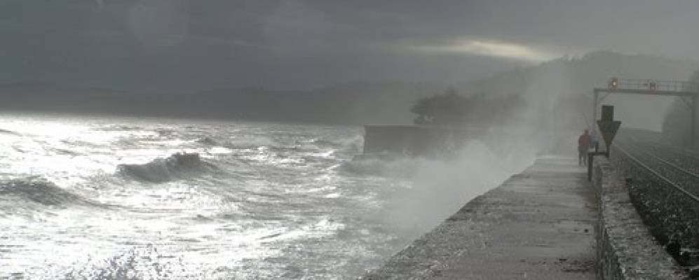 
            Фотография Тинмута